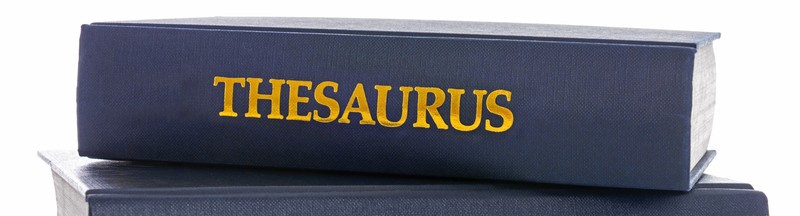Real Dictionary Thesaurus